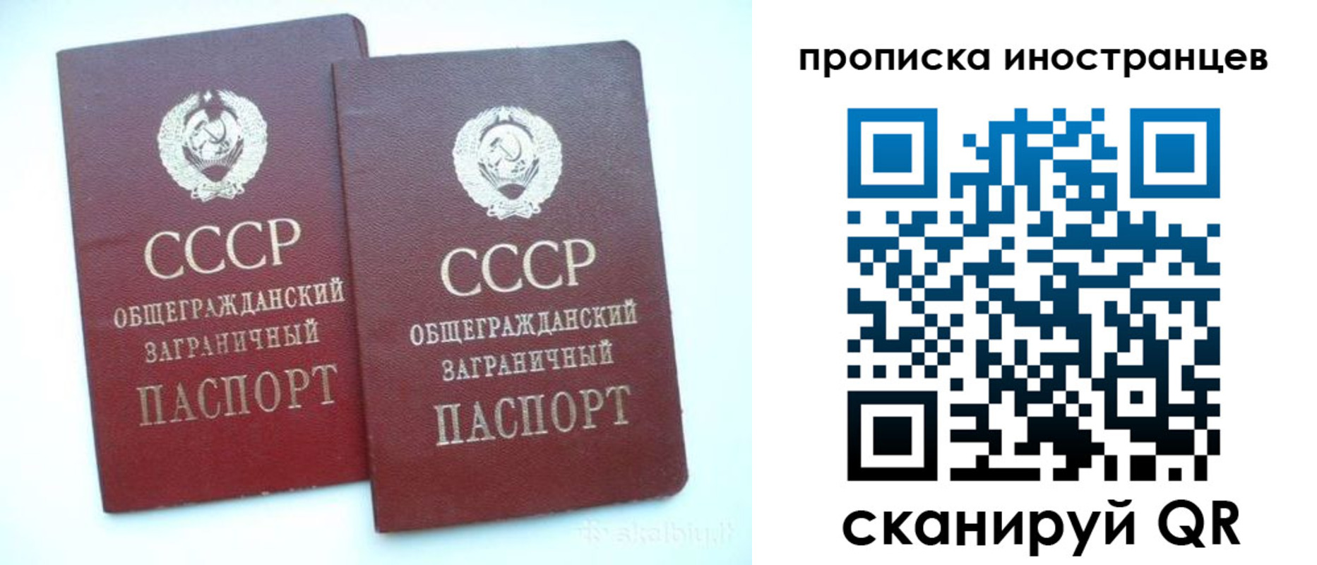 временная регистрация госуслуги в Апатитах